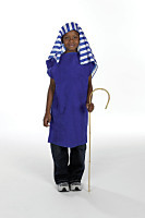 Shepherd Tabard